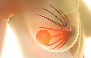 月子中心通ru儀器效果好嗎？女性怎樣才能催ru？